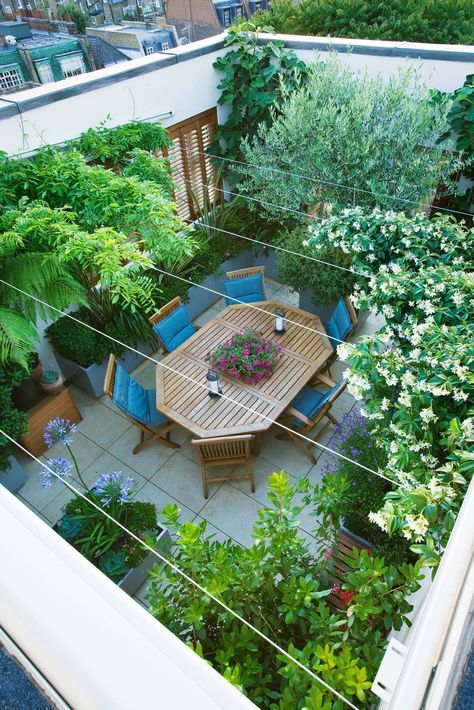 Terrace Roof, Roof Terrace Design, Roof Garden Design, Small Terrace, Rooftop Terrace Design, Balkon Design, Rooftop Design, Terrarium Diy, Terrace Design