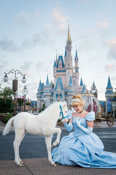 Pônei da Cinderela nasce no Tri-Circle-D Ranch - Viajando para Orlando Walt Disney Paris, Disney World Castle, Disney Word, Disney Parque, Foto Disney, Tema Disney, Disney World Pictures, Prințese Disney, Disney Face Characters