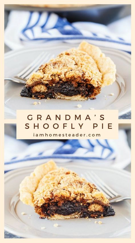 Shoofly Pie, Breakfast Pastry, Bruschetta Ingredients, Shoo Fly, Applesauce Cake, Top Chicken Recipes, Homemade Tacos, Italian Pizza, Homemade Taco Seasoning