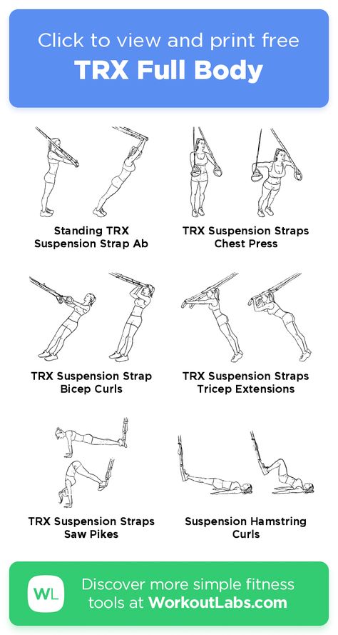 Trx Arm Workout, Trx Lower Body Workout, Floor Cardio, Trx Workouts Routine, Trx Workouts For Women, Trx Workout Plan, Beginner Workouts For Women, Trx Full Body Workout, Trx Exercises