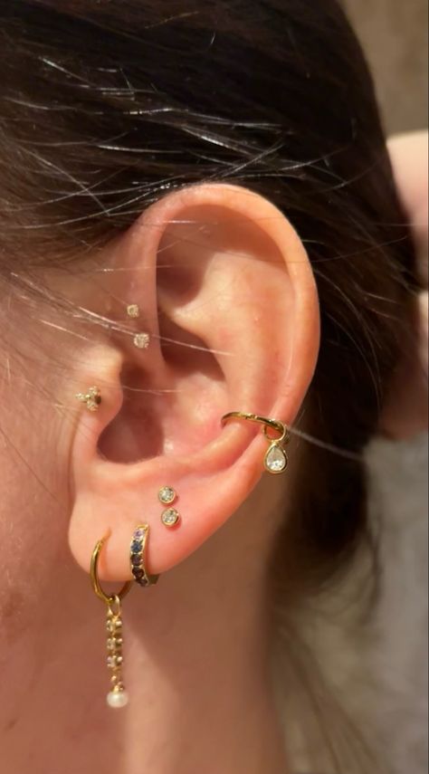 My ear curation with double forward helix, tragus, conch ring, lobes and stacked lobes Forward Helix And Tragus Piercing, Forward Helix And Tragus, Piercing Stacks, Stacked Lobes, Stacked Lobe Piercing, Forward Helix Hoop, Ear Piercing Curation, Double Forward Helix Piercing, Double Helix Piercings