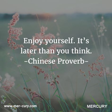 Enjoy yourself. It's later than you think. - Chinese epigram American Proverbs, Common Quotes, Irish Proverbs, Sayings And Quotes, Chinese Proverbs, Chinese Quotes, Proverbs Quotes, Enjoy Yourself, Intelligence Quotes