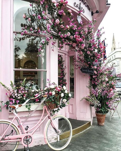 pink flowers and bike Peggy Porschen Cakes, Pink Bicycle, Flowers Growing, Pink Bike, Everything Pink, Wisteria, Love Flowers, Flower Shop, Pretty Flowers