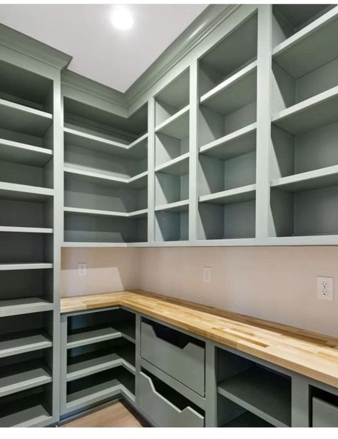 Pantry With Outlets, Closet Designs With Laundry, Smaller Walk In Pantry, Door Mounted Pantry Storage, Walk In Closet Pantry, Diy Butler Pantry Ideas, Rev A Shelf Pantry, Produce Drawers Pantry, Diy Pantry Countertop