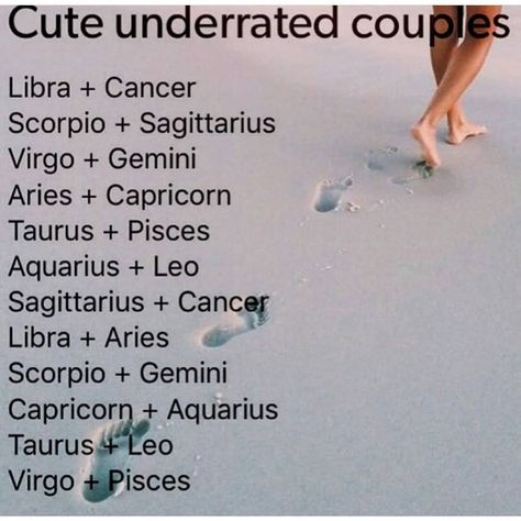 Zodiac Signs Couples, Aries And Capricorn, Horoscope Memes, Zodiac Funny, Virgo Pisces, Horoscope Taurus, Horoscope Gemini, Zodiac Society, Astrology Chart