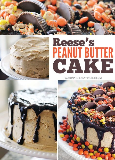 Reeses Pieces Cake, Reeces Cake, Reese Peanut Butter Cake, Peanut Butter Birthday Cake, Butterfinger Cake, Reeses Cake, Passionate Penny Pincher, Chocolate Peanut Butter Cake, Butter Cake Recipe