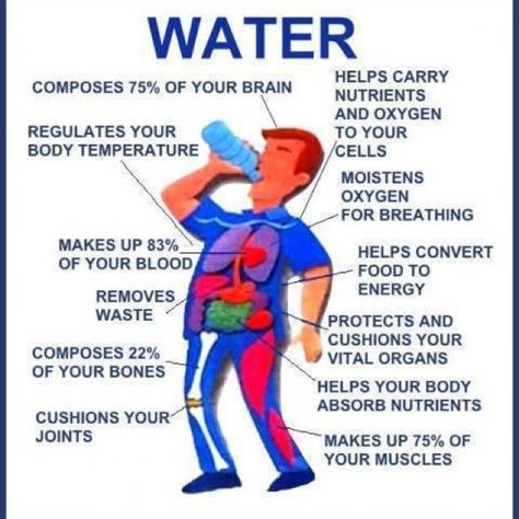 This pin demonstrates the importance of pure water for the body Importance Of Water, Benefits Of Drinking Water, Info Board, Water Benefits, Health Info, Health Facts, Healthy Tips, Healthy Body, Get Healthy