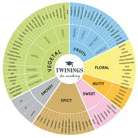 Tea in the ancient world: Tea flavor wheels, temperate climate bias Twining Tea, Flavor Wheel, Tea Guide, Learning Herbs, Twinings Tea, Green Teas, Premium Tea, Herbal Tea Blends, Tea Tasting