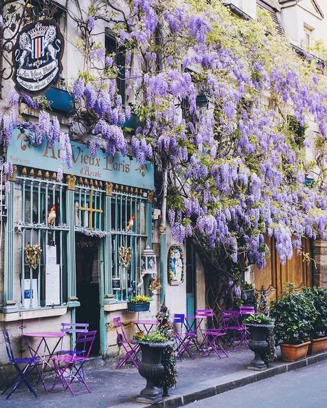 We choose this 10 best instagram photos, made in Paris in the month of July. Check them out to find the inspiration and don’t forget to save your favorite ones, not to loose the locations! Paris Cafe, Spring Trip, Unique Flowers, Pretty Places, Wisteria, Travel Aesthetic, Most Beautiful Places, Belle Photo, Purple Flowers