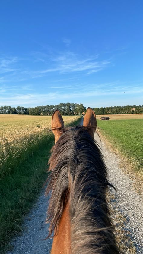 Horseback Rider Aesthetic, Ride A Horse Aesthetic, Horse Riding Countryside, Trail Horse Riding, Horseback Riding English, Horse Back Riding Asethic, Horseback Riding Photos, English Horseback Riding Aesthetic, Horse Riding Photos