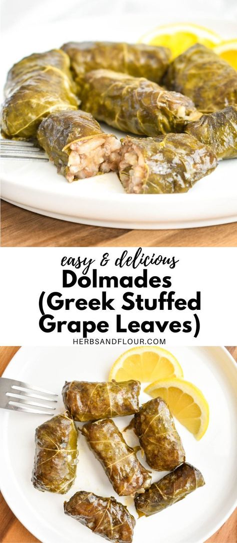 Meat Stuffed Grape Leaves, Grape Leaves Stuffed Vegetarian, Greek Stuffed Grape Leaves, Greek Dolmas Recipe, Greek Grape Leaves, Vegetarian Grape Leaves, Fall Greek Recipes, Homemade Greek Food, Dolmades Recipe Vegetarian