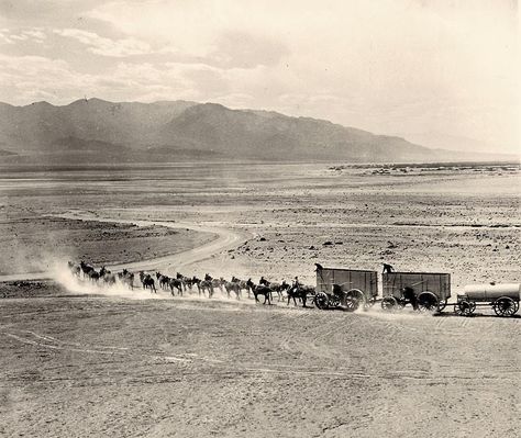 In the 1870s, 20-mule team wagons began hauling borax across the Great Basin Desert to the nearest railroad. Wild West Photos, Old West Photos, Great Basin, Wilde Westen, Into The West, American Frontier, Epic Photos, Mountain Man, American West