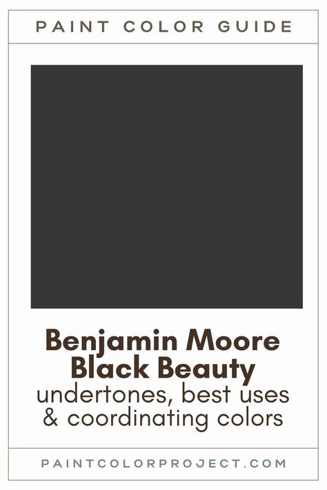 Looking for the perfect black paint color for your home? Let’s talk about Benjamin Moore Black Beauty and if it might be right for your home! Benjamin Moore Black Beauty, Benjamin Moore Black, Benjamin Moore Exterior Paint, Family Room Paint Colors, Family Room Paint, Black Exterior Doors, Benjamin Moore Exterior, Brown Paint Colors, Revere Pewter Benjamin Moore