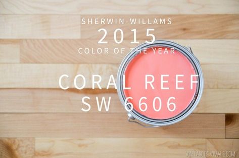 Sherwin-Williams Coral Reef Color of the Year 2015 Fun Bathroom Colors Paint, Coral Reef Color, Twins Nursery, File Cabinet Desk, Minted Art, Vintage Revival, Retro Interior, Big Girl Rooms, Color Of The Year