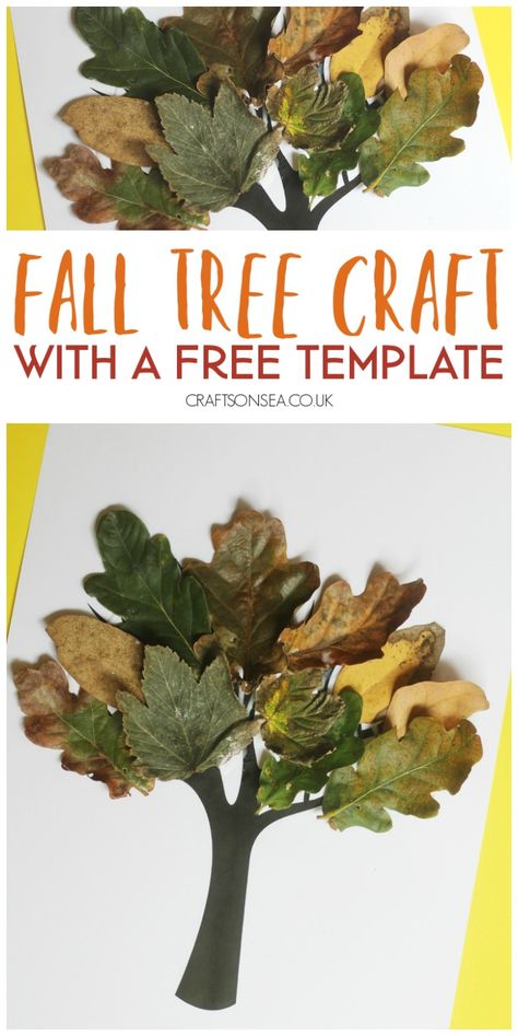 Fall Tree Craft with Real Leaves Autumn Leaf Crafts Kids, Free Tree Template, Montessori Activities Baby, Leaves Crafts, Fall Tree Craft, Fall Crafts For Toddlers, Autumn Leaves Craft, Preschool Crafts Fall, Tree Template