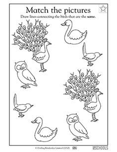 Help find pairs of birds! In this coloring worksheet, your child finds the matching pairs and draws lines to connect them. Birds Worksheets Kindergarten, Birds Activities Preschool, Bird Activities Preschool, Birds Kindergarten Activities, Migrating Animals, Bird Worksheet, Preschool Animals, Visual Discrimination Worksheets, February Preschool