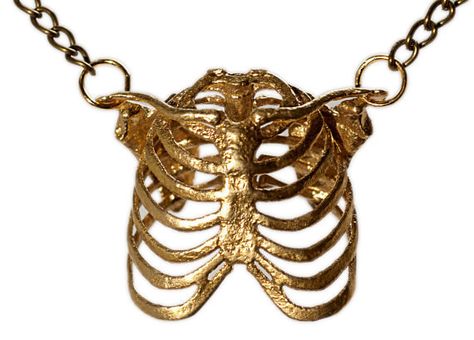 Gold-Plated Ribcage Necklace | 19 Stunningly Weird Pieces Of Anatomy Jewelry Anatomy Jewelry, Human Rib Cage, Cage Necklace, Skeleton Anatomy, Caged Necklace, Science Jewelry, Simple Silver Jewelry, Human Bones, Bone Necklace