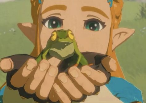 Princesa Zelda, Legend Of Zelda Memes, Nintendo Princess, Link Zelda, Zelda Art, Mia 3, Legend Of Zelda Breath, Zelda Breath, Twilight Princess