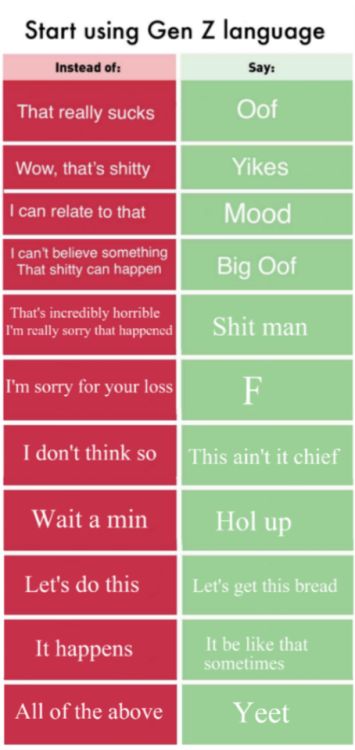 Gen Z slang - this is all EXTREMELY accurate, I hear these on a daily basis at school Slang Words, Gen Z, I Can Relate, What’s Going On, Laughing So Hard, Funny Fails, Tumblr Funny, Funny People, Best Memes