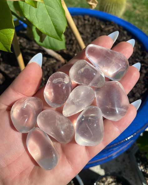 "*This listing is for ONE Girasol crystal tumbled stone chosen intuitively* Girasol is a milky quartz variety. The name Girasol is from the Italian word girasol, which means \"turn towards the sun\".  Girasol is also known as Foggy Quartz, Pearl Quartz, Moon Opal, Blue Opal Quartz, and Moon Quartz. All orders are packed with care and shipped to you within a couple of business days.  Please contact me with any questions you may have and I'd be happy to help!" Moon Quartz, Italian Word, Milky Quartz, Towards The Sun, Crystal Aesthetic, Tumbled Stones, Crystal Gems, Blue Opal, Tumbling