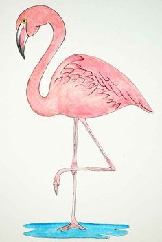 Flamingo Images Free Printable, Flamingo Friday, Pencil Drawing Ideas, Fancy Flamingo, Flamingo Painting, Flamingo Art, Flamingo Pattern, Flamingo Party, Bird Drawings