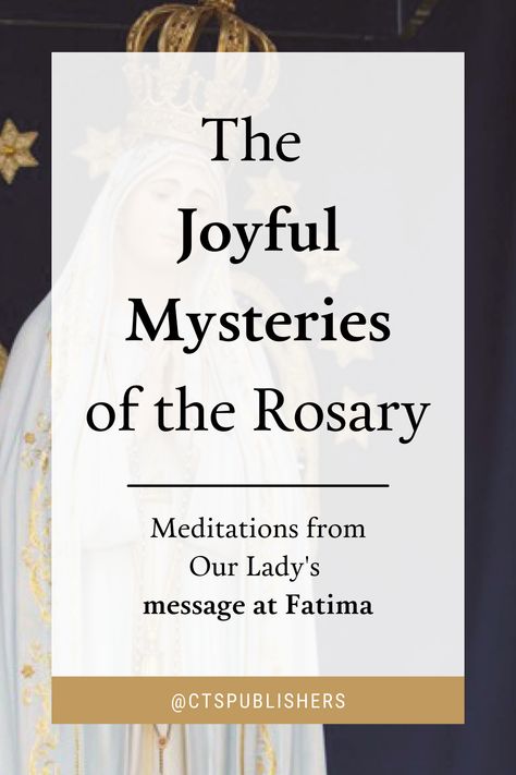 Joyful Mysteries Of The Rosary, Rosary Meditations, Joyful Mysteries, Decades Of The Rosary, Mysteries Of The Rosary, Jesus In The Temple, Saint Elizabeth, Birth Of Jesus Christ, The New Testament