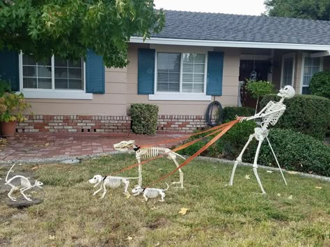 Outdoor Halloween Decorations Skeletons, Dog Halloween Decorations, Pet Cemetary Halloween Ideas, Too Late Petting Zoo Halloween, Pet Cemetery Ideas Halloween, Halloween Animal Skeletons, Skeleton Yard Display Funny, Skeleton Walking Dog, Skeleton Yard Scenes Funny