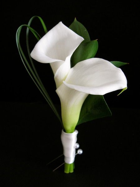 Boutonniere Wedding Calla Lily, Calla Lily Buttoniere, Groom Boutonniere Calla Lily, Boutineer Calla Lily, Mini Calla Lily Boutonniere, White Calla Lily Boutonniere, Calla Lily Boutonniere Wedding, Calla Lily Bridal Bouquet Cascading, Calla Lily Buttonhole