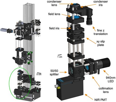 A High Performance, Cost-Effective, Open-Source Microscope for Scanning Two-Photon Microscopy that Is Modular and Readily Adaptable Coding For Beginners, Open Source Hardware, Robotic Automation, Brain Tissue, Holography, Open Source Projects, In Vitro, Diy Science, Microscopes