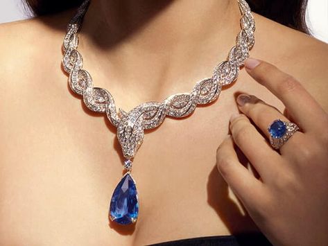 Necklace Bulgari, Treasure Necklace, Bulgari Serpenti, Bulgari Jewelry, Expensive Diamond, Ocean Treasures, Expensive Jewelry Luxury, Sweet Jewelry, Jewelry Set Design