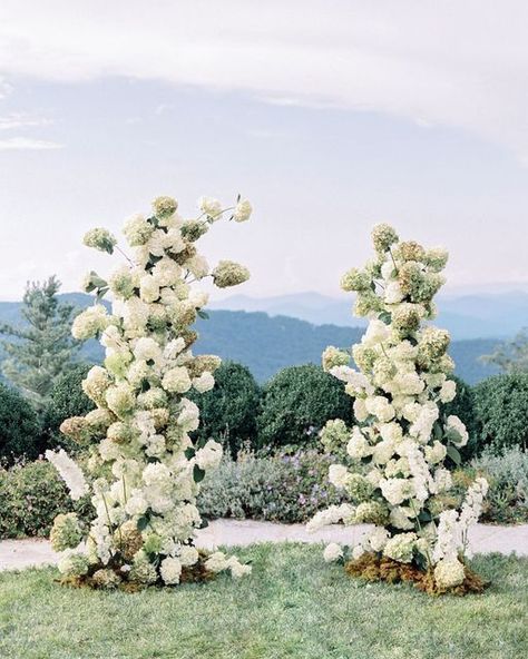 Jessica Gold on Instagram: "Hydrangeas, but make it art. From last year in Highlands, North Carolina with simply the best team. Captured on Portra 400 film, processed by @photovisionprints. @whitewoodevents @maryewynn @amyosabadesign @rockwoodlodgenc @crusheventdesign @margaretsniderco @carolhannahbridal @pernosformalwear @tablemadeco @rekindlecandle.co @partytables_linensanddrapery #filmphotographer #destinationweddingphotographer #contax645 #portra400 #highlandsncwedding #rockwo Wedding Decor Hydrangea, Hydrangea Flower Arch, Hydrangea Arch Wedding, Floral Arches Wedding, Hydrangea Wedding Ceremony, Hydrangea Wedding Arch, Hydrangea Arch, Hydrangea Wedding Decor, Green Hydrangea Wedding