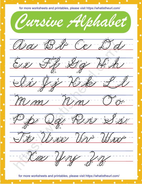 This PDF is a very large one and can be printed any almost any size that is multiple of letter size. Basically, it is created in Folio size, so the print quality will be very high. The letters are given in 3 lines and each letter (upper case and lower case) is printed with guiding arrows and numbers on it, Upper Case Cursive Letters, Abcd Alphabets Chart, Cursive Abcd, Cursive Chart, Cursive Alphabet Printable, Capital Cursive Letters, Cursive Alphabet Chart, Alphabet Chart Printable, Alphabet Cursive