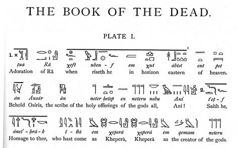 Ancient Writing Aesthetic, Egyptian Quotes, Hieroglyphics Symbols, Egyptian Quote, Egyptian Book Of The Dead, Egyptian Language, Ancient Egypt Hieroglyphics, Egypt Project, Ancient Egyptian Hieroglyphics