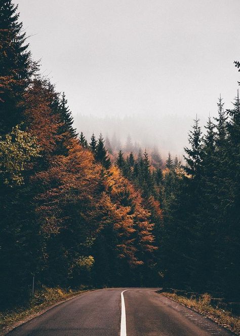 Autumn photography, autumn aesthetic, autumn travel photography, autumn recipes, autumn food, autumn menswear, autumn outfits Landscape Photography Tips, Mountain Canvas, Landscape Paintings Acrylic, Landscape Photography Nature, Tapeta Pro Iphone, Autumn Scenery, Aesthetic Stuff, Photo Journal, Fall Pictures