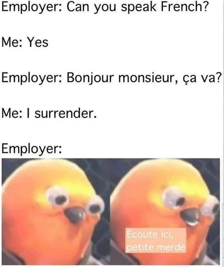 Lel Memes In French Funny, French Memes Humor, French Slander, Country Slander, French Meme, History Jokes, Top Memes, How To Speak French, Funny As Hell