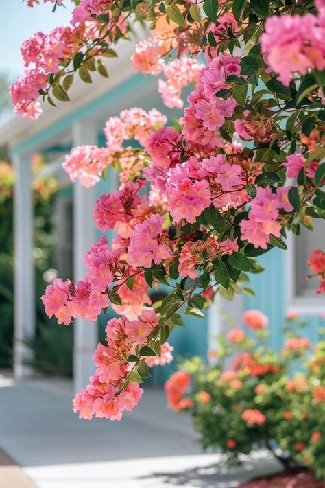 Crepe Myrtle Landscaping Ideas for Stunning Gardens Crepe Myrtle Landscaping, Coastal Autumn, Crepe Myrtle Trees, Stunning Gardens, Garden Vertical, Myrtle Tree, Crepe Myrtle, Small Front Yard, Backyard Balcony