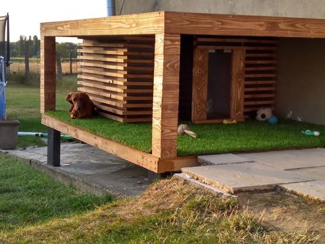 Dog villa I made Outdoor Dog House Ideas, Dog House Ideas, Luxury Dog House, Pallet Dog House, Insulated Dog House, Modern Dog Houses, Dog Kennel Designs, Outdoor Dog House, Dog House Plans