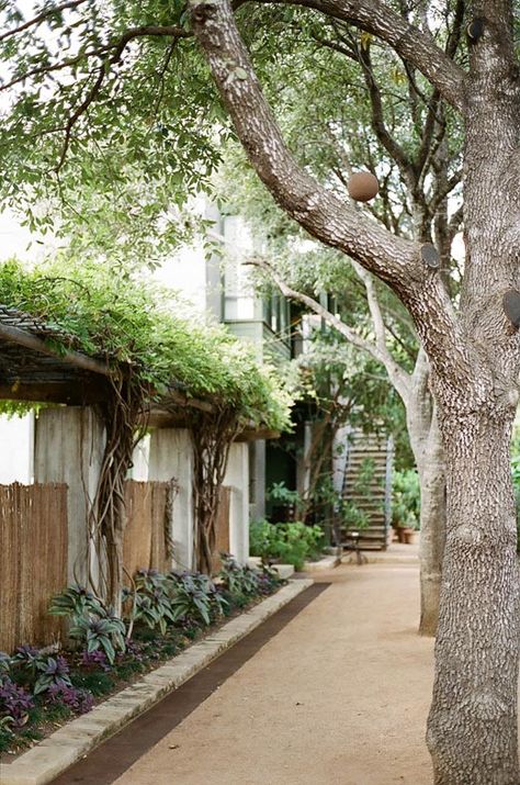 staying in austin: hotel san jose via A House in the Hills Hotel San Jose Austin, Urban Landscaping, Austin Trip, Entry Courtyard, Wisteria Vines, House In The Hills, Spanish Street, Hotel San Jose, Natural Path