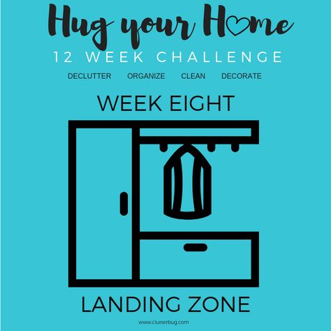 Landing Zone Ideas, Clutterbug Organizing Styles, Fly Lady Cleaning Schedule Zones, Clutter Bug Ladybug, Clutter Bug, Landing Zone, Cleaning Schedules, Entrance Way, Organizational Ideas