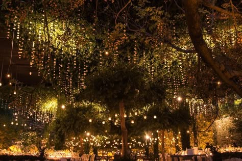 Garden Wedding Night Lights, Wedding Nature Theme, Twilight Wedding, Forest Theme Wedding, Enchanted Forest Wedding, Dream Wedding Venues, Forest Theme, Midsummer Nights Dream, Wedding Mood