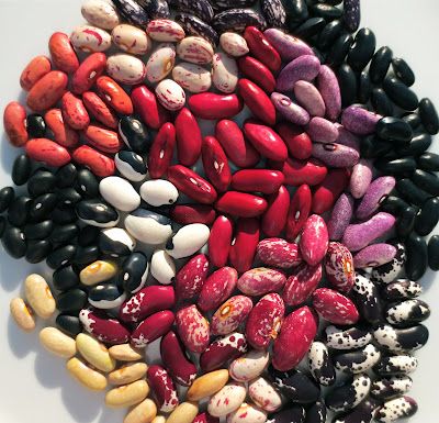 My Old New House: The Great Dry Bean Experiment - and giveaway! Kinds Of Beans, Bean Varieties, Types Of Beans, Dry Beans, Food Tasting, Dried Beans, Old New House, Fruit And Veg, Beautiful Food