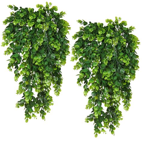 PRICES MAY VARY. The total length of eucalyptus plant is approx. 29.9 inch. About 800 fake green leaves per pack, a total of 3200 leaves. Each green leaf has many stems that make it look very vivid and three-dimensional. Hang artificial fake hanging eucalyptus plant on the wall, home decor,indoor outdoor decoration,garden, office,verandah, Wedding decoration,These adorable plants will be great choice for your pots,vase,containers. Artificial hanging plants outdoors leaves are made with high qual Bedrooms Doors, Shelf Office Decor, Office Decor Green, Hanging Eucalyptus, Hanging Ivy, Hanging Ferns, Fake Hanging Plants, Patio Indoor, Home Shelf