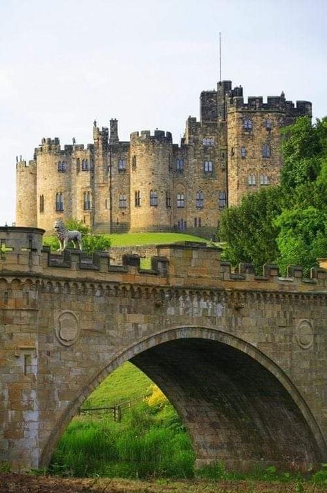 Alnwick Castle England Vila Medieval, Castle England, Alnwick Castle, Chateau Medieval, Old Castle, English Castles, Castles In England, Castle In The Sky, Chateau France