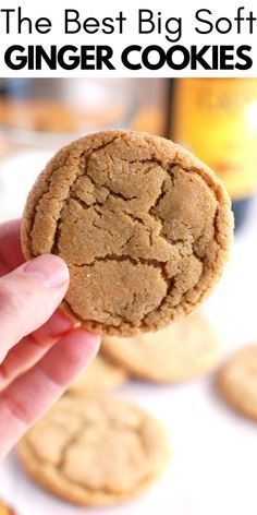 Ginger Snap Cookies Soft, Homemade Ginger Cookies, Soft And Chewy Ginger Cookies, Chewy Ginger Cookies Soft, Soft Ginger Snaps Cookies, Soft Ginger Snap Cookies Recipes, Soft Ginger Snaps, Soft And Chewy Ginger Molasses Cookies, Molasses Ginger Cookies Soft