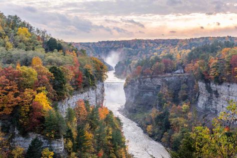 Located in New York, Letchworth State Park is full of beautiful waterfalls and canyon views. From short, gentle walks to longer, strenuous trails, here are some of the best. Letchworth State Park, Backcountry Camping, San Juan Island, Thru Hiking, Down The River, Old Trees, Camping Area, Appalachian Trail, Beautiful Waterfalls