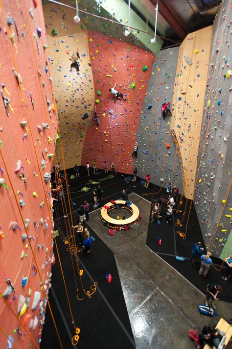 Seattle Gym - by Elevate Climbing Walls Indoor Climbing Wall, Rock Climbing Gym, Climbing Walls, Indoor Rock Climbing, Stair Climbing, Indoor Climbing, Rock Climbing Wall, Climbing Gym, Organisation Hacks