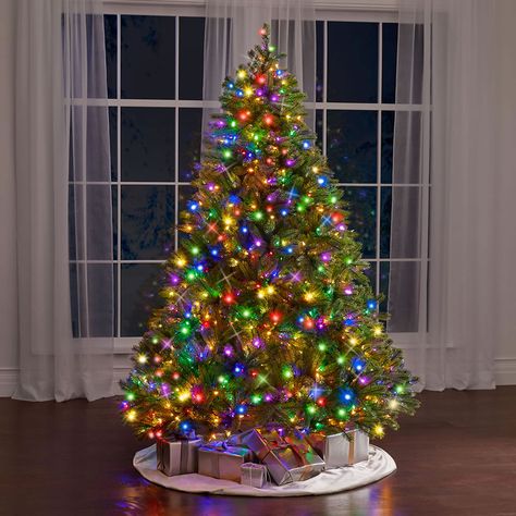 The World's Best Prelit Douglas Fir - Hammacher Schlemmer Douglas Fir Christmas Tree, Pseudotsuga Menziesii, Best Led Lights, Peacock Christmas Tree, Peacock Christmas, Holiday Inflatables, Holiday Storage, Hammacher Schlemmer, Holiday Pins