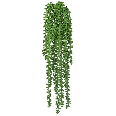 String of pearls is a beautiful and unique cascading and draping succulent unpotted plant that will add that little character to any house.  These succulents are easy to organize in planters or hanging baskets for indoors. Each piece weighs about 0.27 pounds (125 grams)  Please Note: The color of the actual vines may differ from the actual photos due to differences in device displays and PC monitors Hanging Plants Decor, String Of Pearls Plant, Indoor Plant Wall, Hanging Wall Planters, Hanging Plant Wall, Hanging Vines, Flower Pot Garden, Decoration Plante, Plants Decor