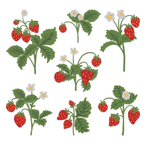 Wild Strawberry Illustration, Strawberry Bush Drawing, Strawberry Plant Drawing, Berry Illustration, Bush Drawing, Strawberry Vine, Strawberry Bush, Forest Berries, Strawberry Drawing