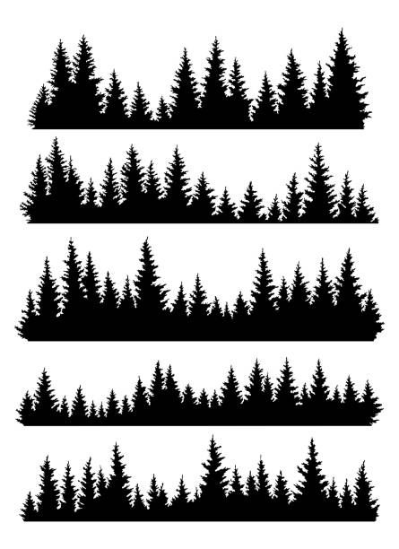 Pine Trees Silhouette, Trees Silhouette, Pine Tree Silhouette, Forest Silhouette, Sketching Tips, Theme Tattoo, Forest Background, Silhouette Stencil, Black Tree